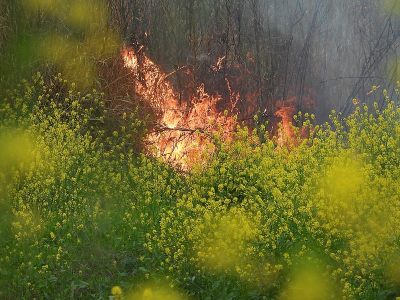 火事が起こった淀川河川公園