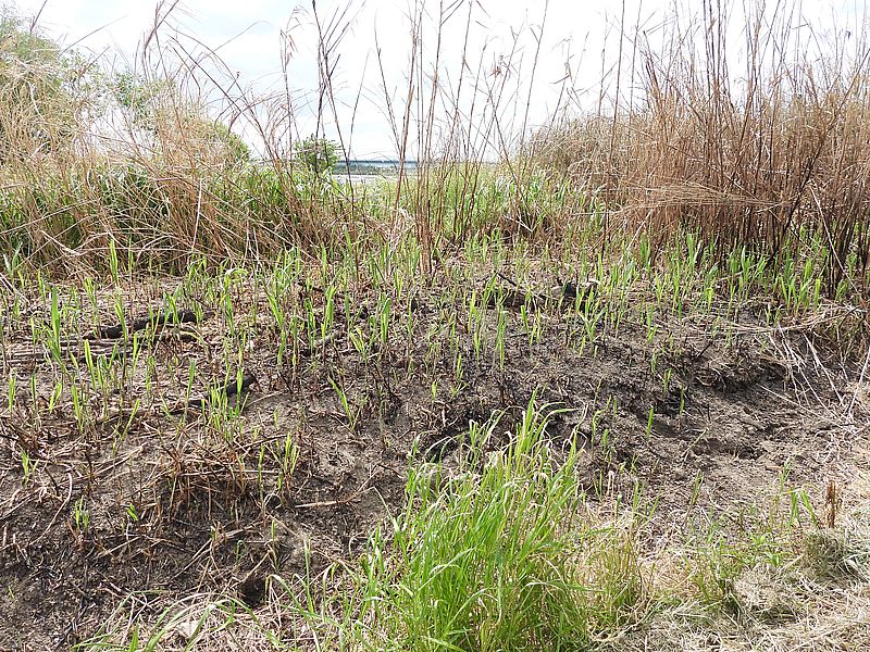 こないだの火事現場