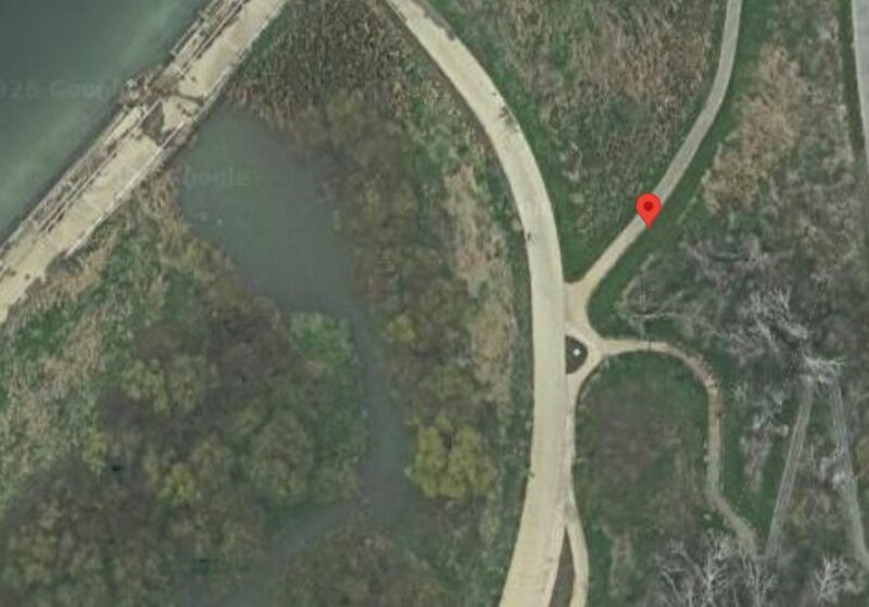 マムちゃんがいたところ