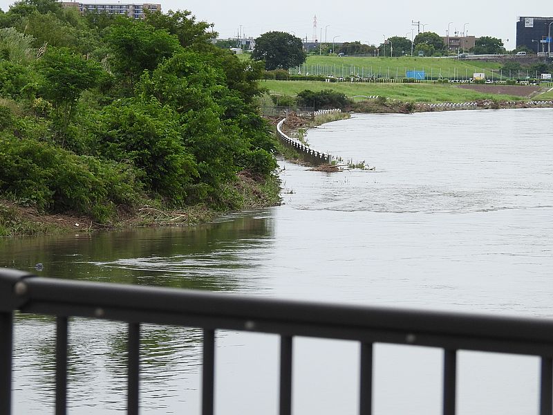 淀川河川公園