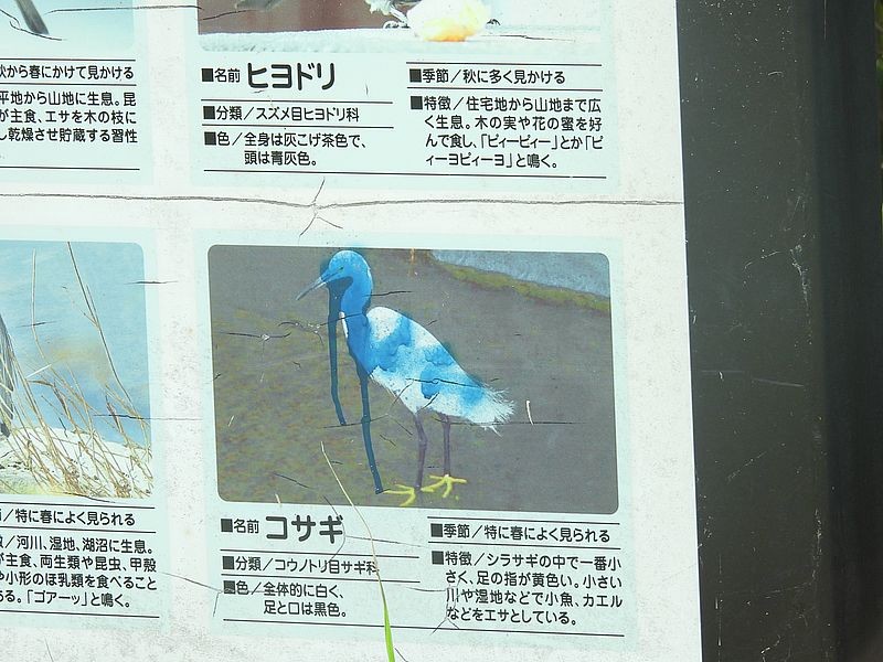 看板に落書きすんなよ