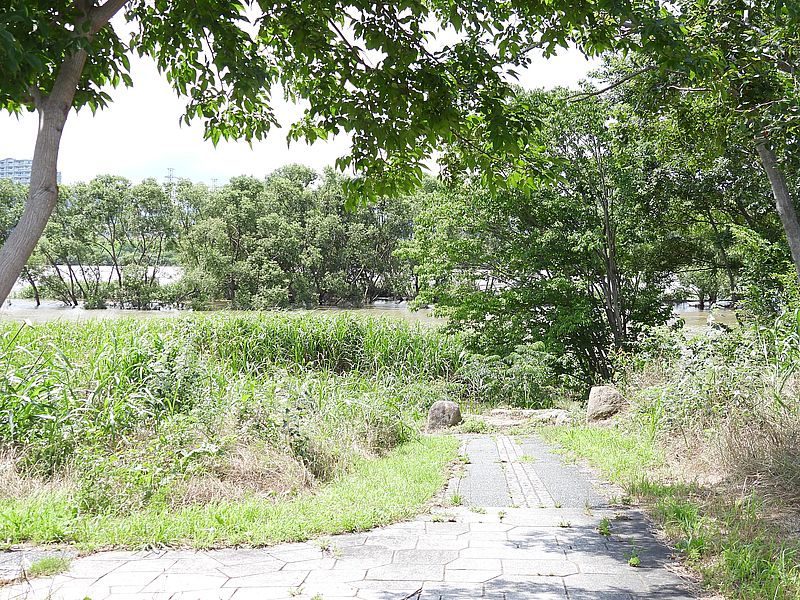 淀川河川公園