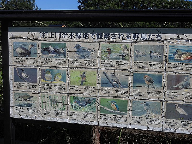 看板も新調するのかなぁ