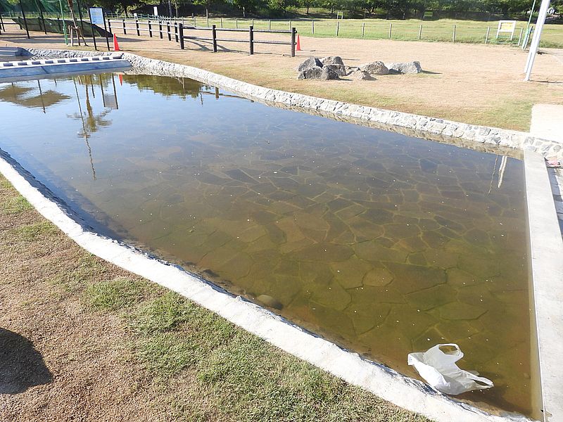 打上川治水緑地