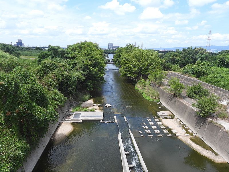天野川