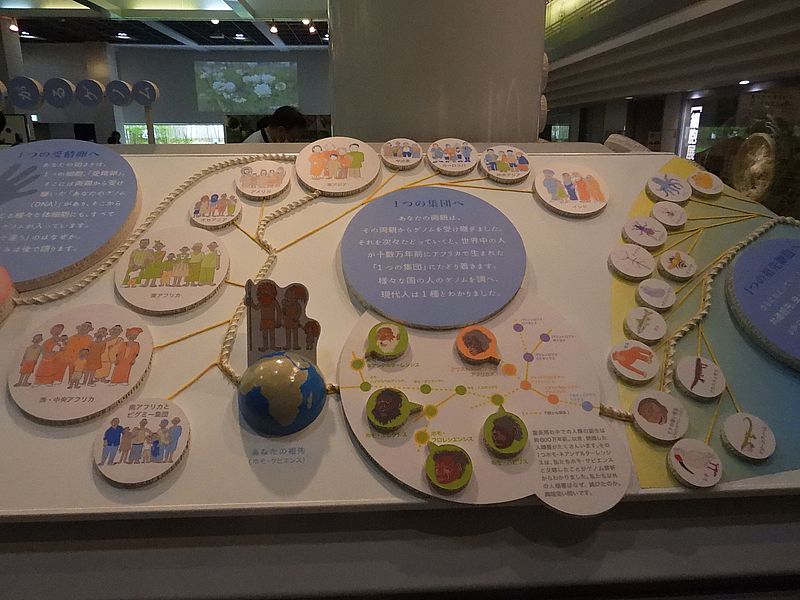 展示物