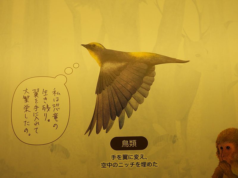 キビ男の展示物。第一人称が？