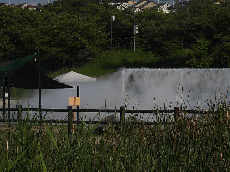 打上川治水緑地のミスト