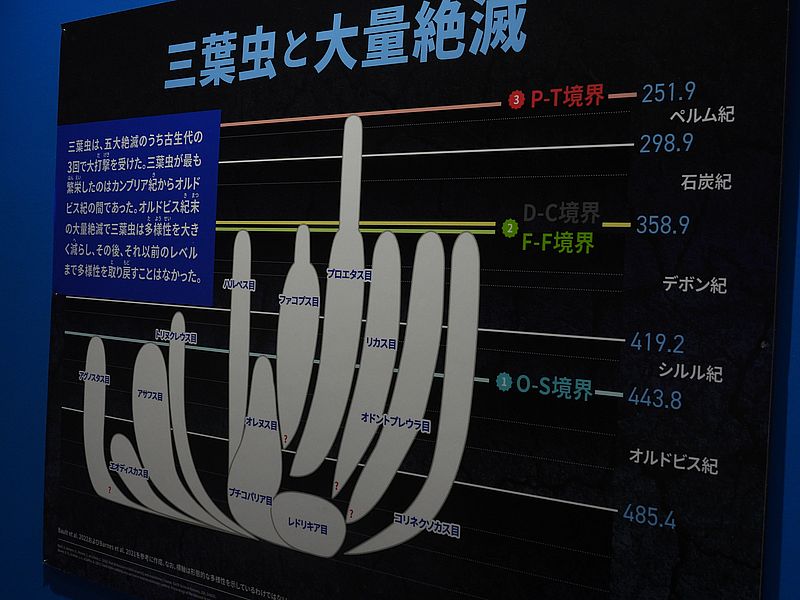 大絶滅展