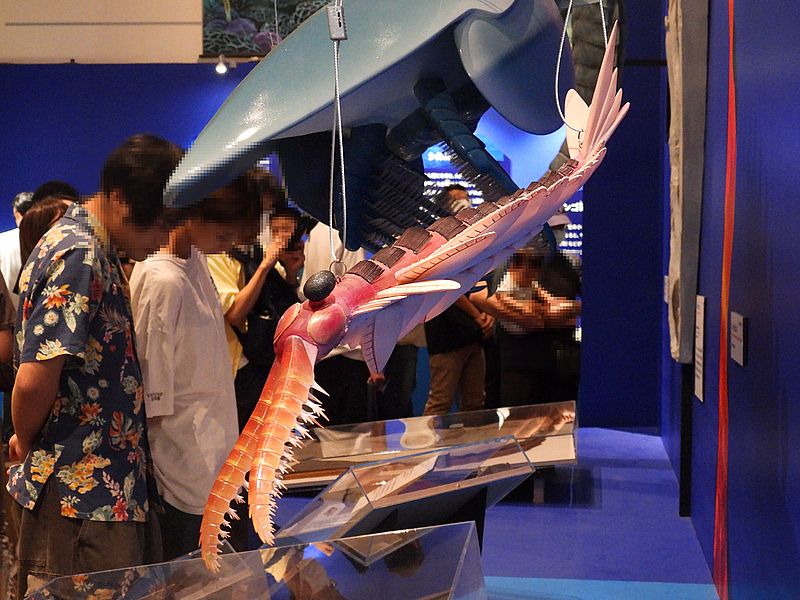 大絶滅展