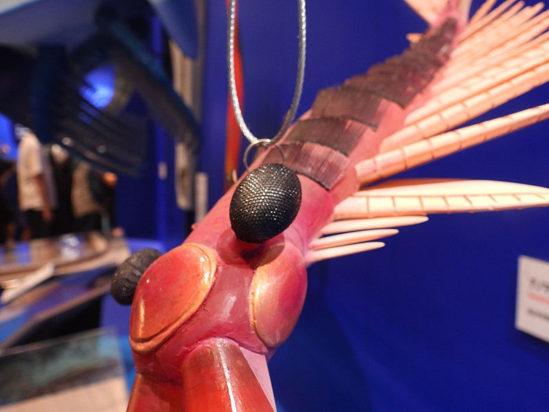大絶滅展