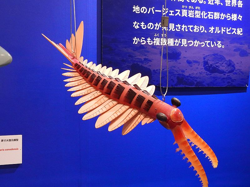 大絶滅展
