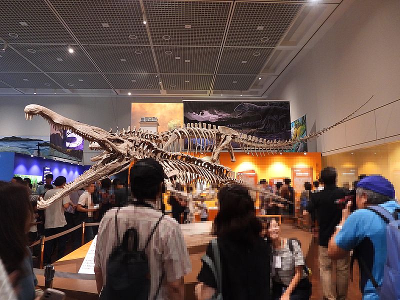 大絶滅展