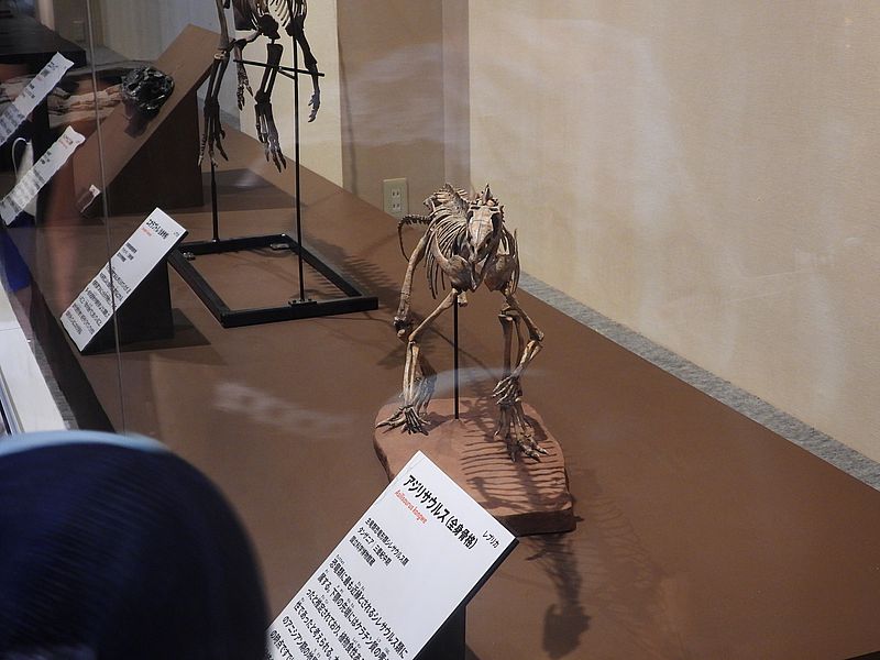 大絶滅展