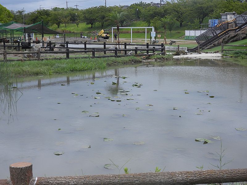 打上川治水緑地