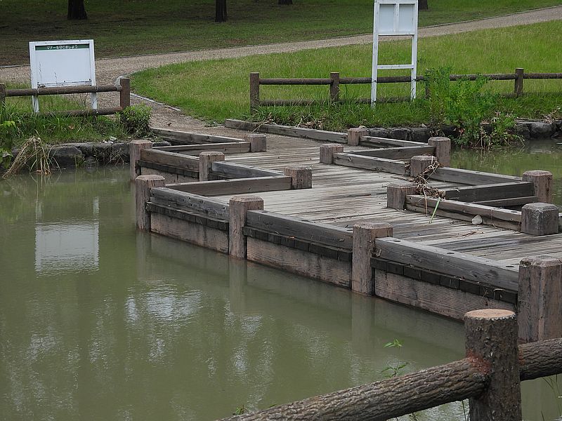 打上川治水緑地