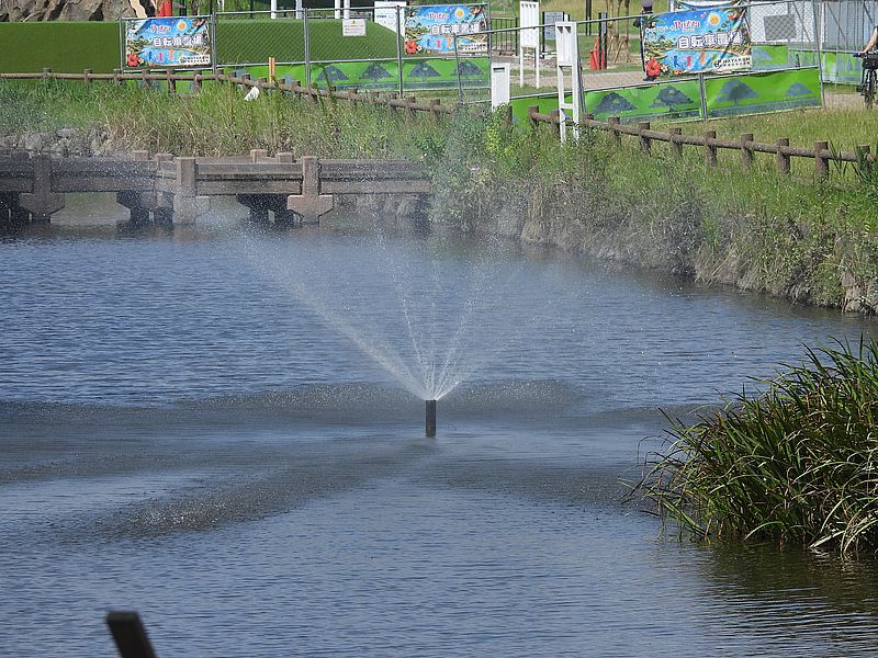 打上川治水緑地