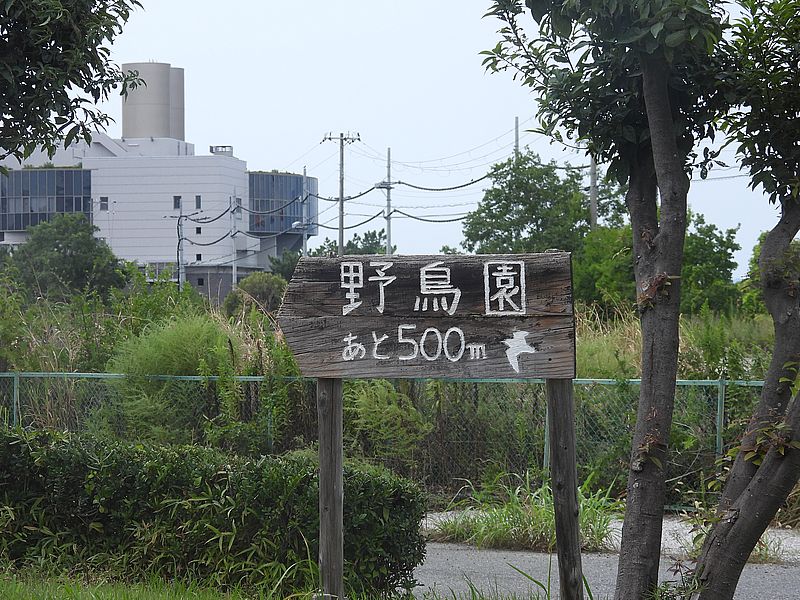 野鳥園まであと0.5キロ