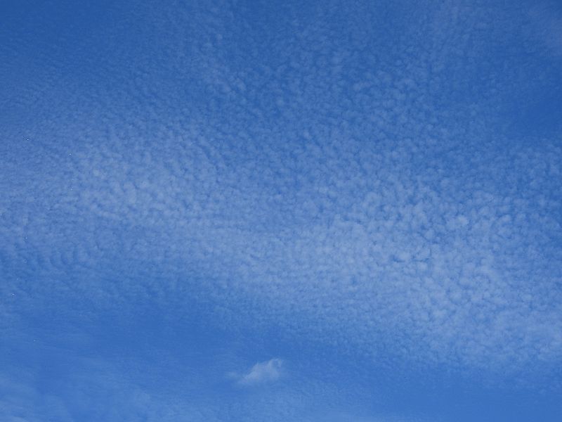 イワシ雲