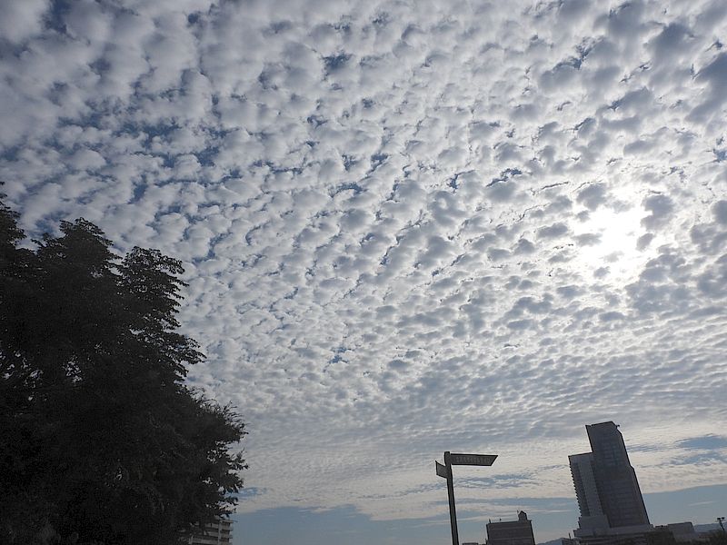 イワシ雲